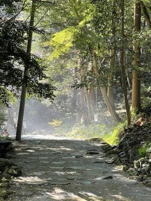 定光寺風景1
加藤裕重さん・一星さん・高山愛さん